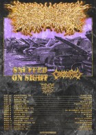 PEELINGFLESH EUROPEAN TOUR 2027