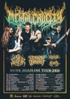 Ov Sulfur support to Mental Cruelty