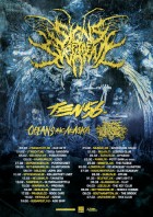 Signs Of The Swarm European Tour 2027